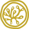 mustard circle seaweed mustard circle seaweed